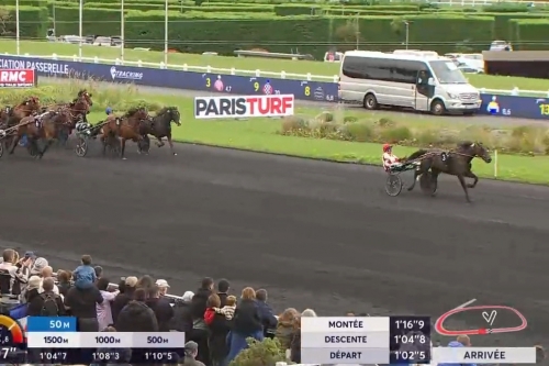 JUNON DE LOU (Real de Lou-Saba du vivier par Ganymède)...