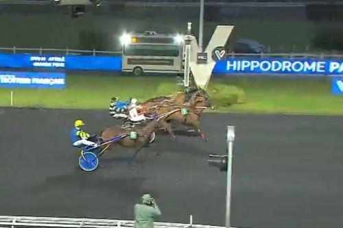 .MANDARINA DE LOU (Love you-Saba du vivier par ganymède)..