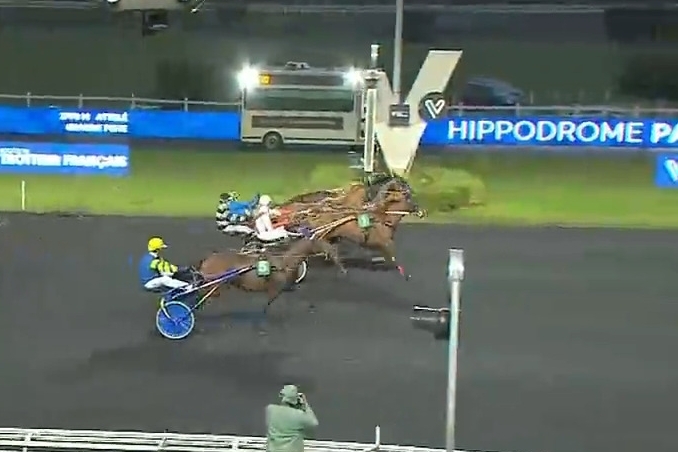 .MANDARINA DE LOU (Love you-Saba du vivier par ganymède)..