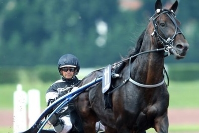 REAL DE LOU (Jag de bellouet-Kooka de Lou par Coktail...