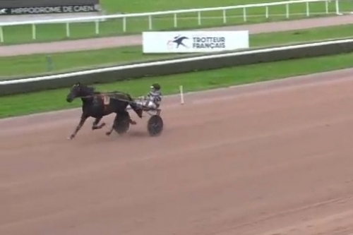 MUST DE LOU, LA SAMBA DE LOU, LIDO DE LOU et les autres...