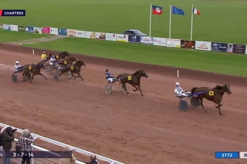 MAGICO DE LOU (Un mec d'héripré-Flora de Lou)...