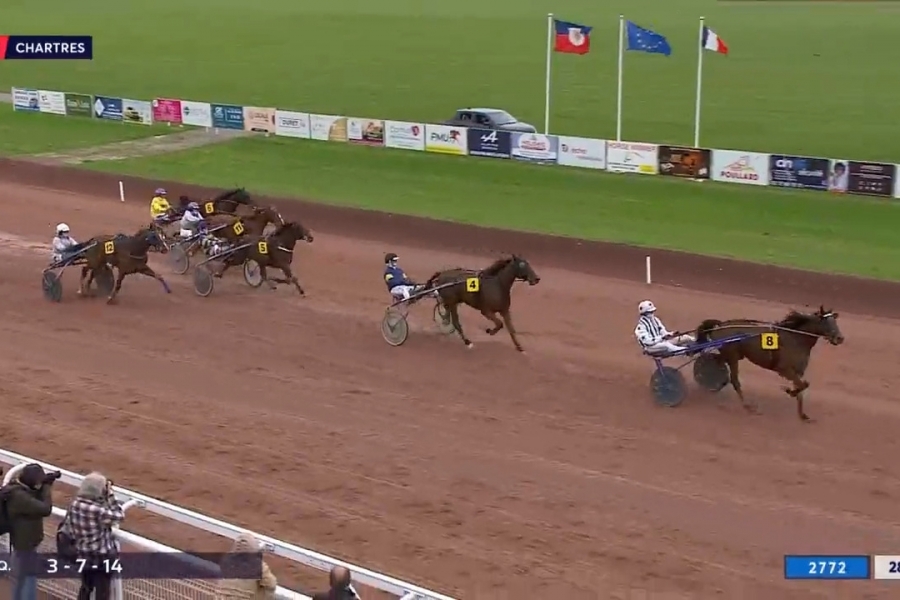 MAGICO DE LOU (Un mec d'héripré-Flora de Lou)...