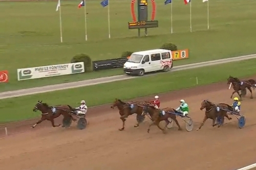 MELOMANE DE LOU (Fabulous wood-Diva de Lou par Love You)...