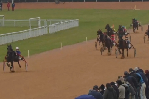 MAESTRO DE LOU (Real de lou - Bahama de lou par Quatre...