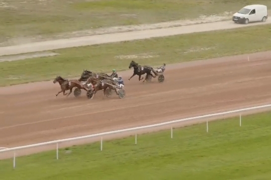 ..MUST DE LOU (Fabulous wood-Daida de vandel par Real de lou).