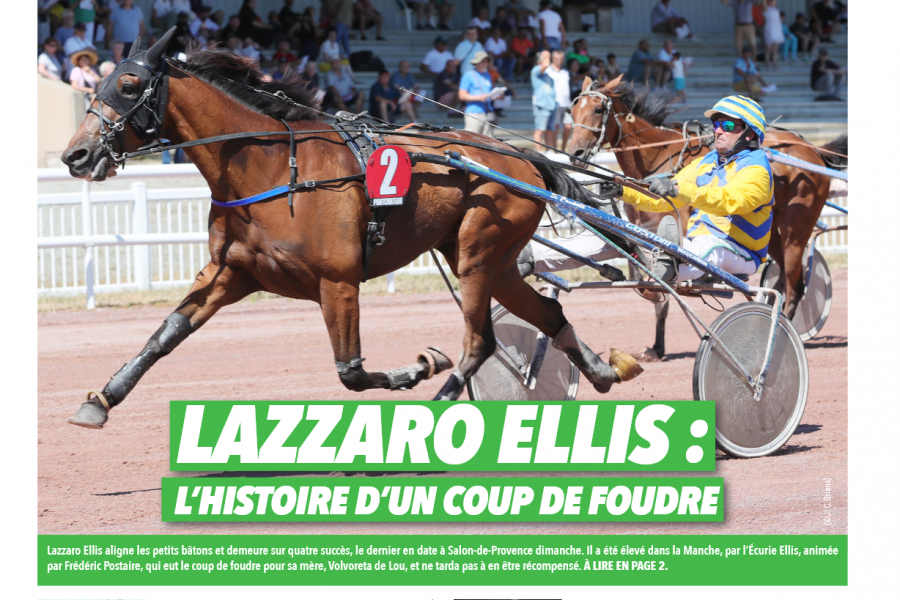 LAZZARO ELLIS (Bold eagle - Volvoreta de Lou par Goetmals wood)...