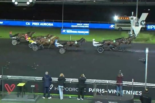 MAXIMILIANO DE LOU (Ecu pierji-Daytona Sacha par Real de Lou)...