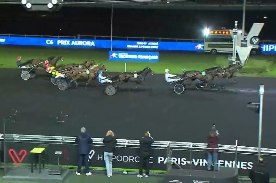 MAXIMILIANO DE LOU (Ecu pierji-Daytona Sacha par Real de Lou)...