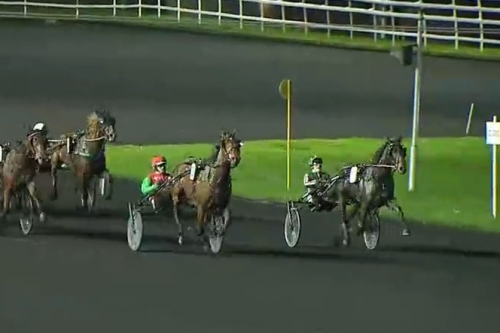 L'AS DE SMARVES (Excellent-Fiorentina de Lou par Love...