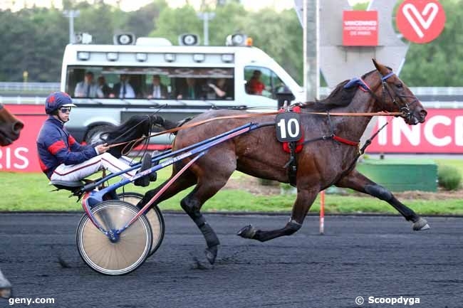 FILOU L’AUVERGNIER (Real de Lou- Quira l’auvergnier)