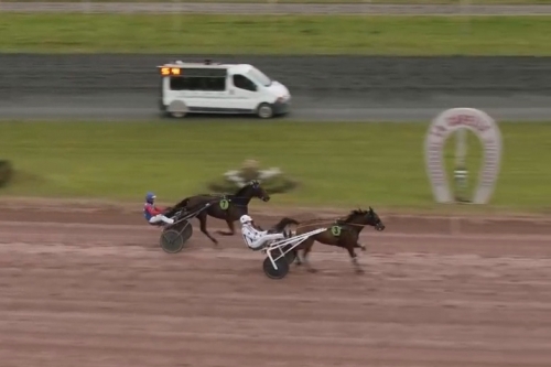 NORA D'ELCE (Real de Lou-Dorada de Lou par Sam bourbon)...