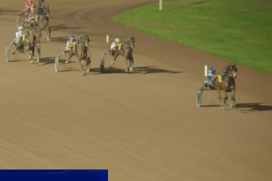 MAMMA MIA DE LOU ( Express jet-Dalmia de Lou par Real de Lou)...