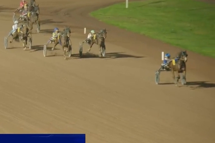 MAMMA MIA DE LOU ( Express jet-Dalmia de Lou par Real de Lou)...