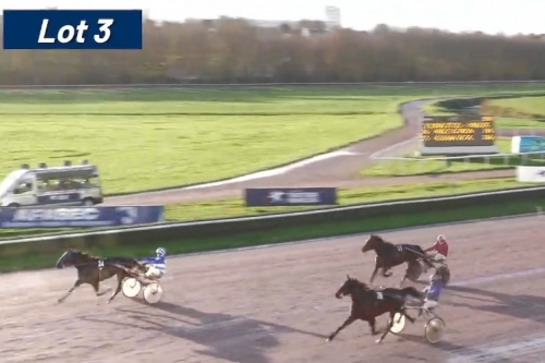 NIMANOLO D'IMAX  (Real de Lou-Giulia de lou par Quaker jet).