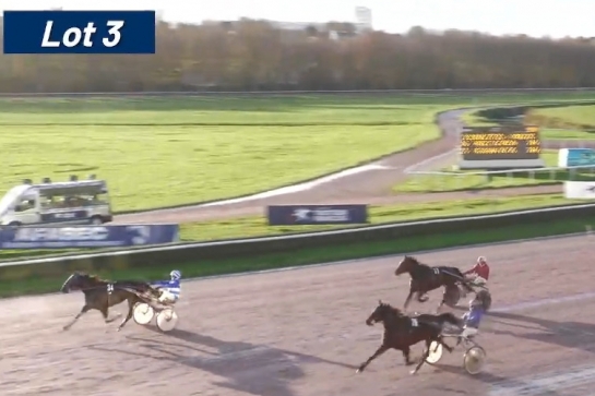 NIMANOLO D'IMAX  (Real de Lou-Giulia de lou par Quaker jet).