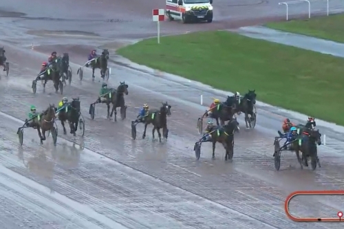 IBRA DE LOU (Un Amour d'haufor-Venezia de Lou par...