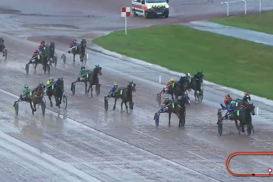 IBRA DE LOU (Un Amour d'haufor-Venezia de Lou par Biesolo)...