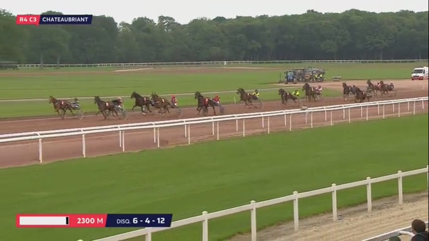 FLAMENGO DE LOU (Ganymède-Tania de Lou)