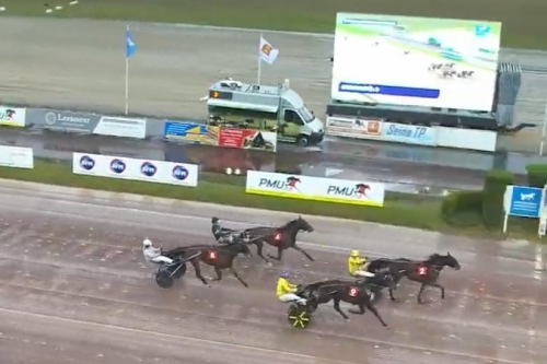 MAGICO DE LOU (Un mec d'héripré-Flora de Lou par...