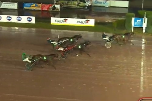 KALMIO DE LOU ( Expres jet-Dalmia de lou par Real de lou)...