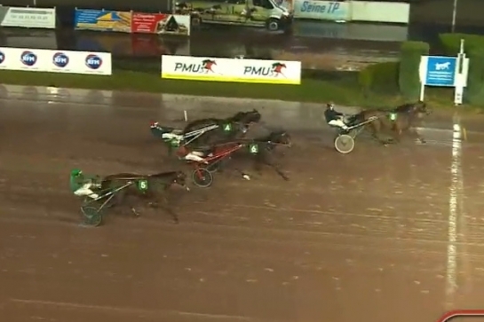 KALMIO DE LOU ( Expres jet-Dalmia de lou par Real de lou)...