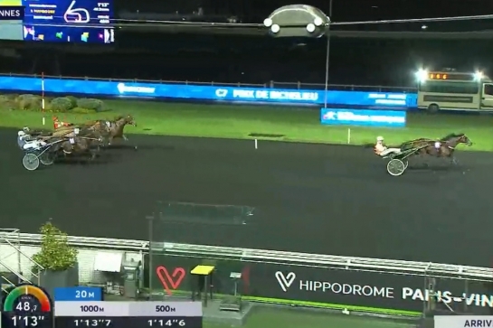 MAXIMILLIANO DE LOU (Ecu pieri-Daytona Sacha par Real de Lou)...