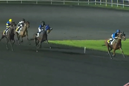 LUCIOLA DE LOU ( Real de lou-Vikivera de lou par Love you)