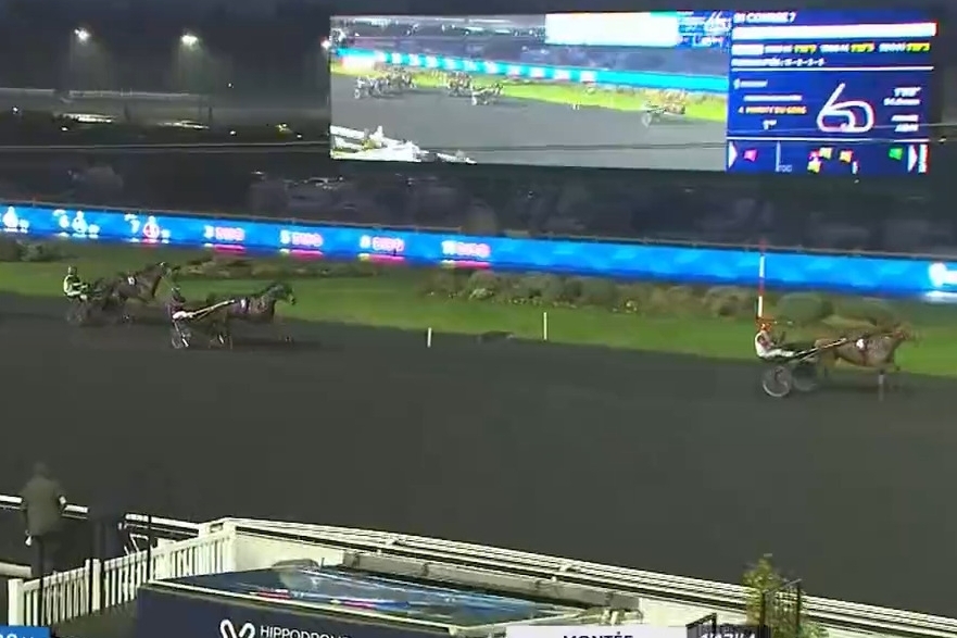 MELOMANE DE LOU.(Fabulous wood-Diva de Lou par Love you..