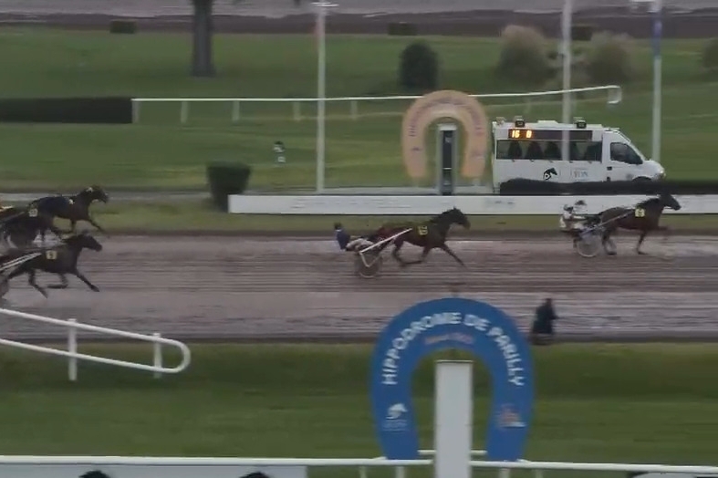 LIBERO DE LOU (Un mec d'heripre-Ginga de Lou par Password)...