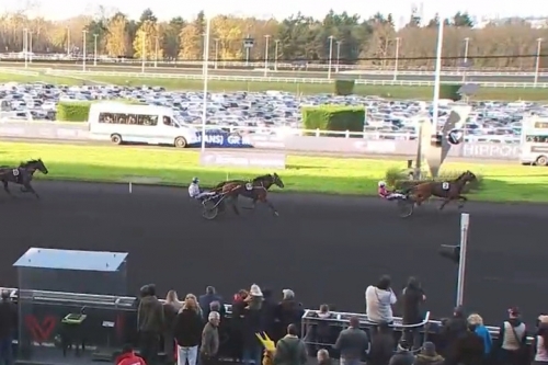 MAGICO DE LOU (Un mec d'héripré-Flora de Lou par...