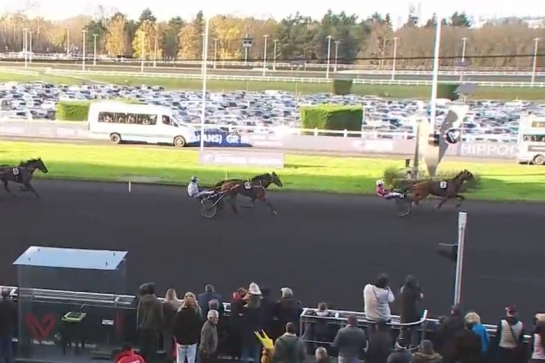 MAGICO DE LOU (Un mec d'héripré-Flora de Lou par Prodigious)...