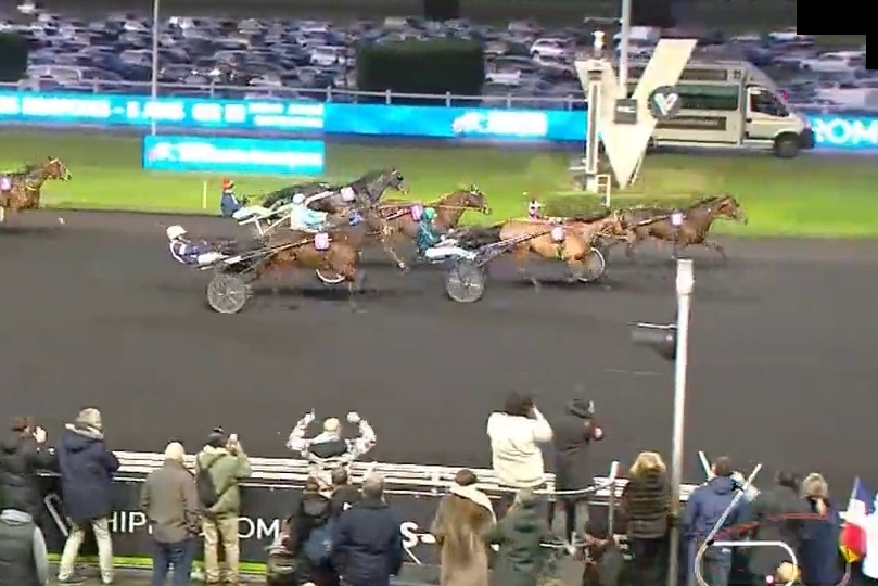 KALMIO DE LOU ( Expres jet-Dalmia de lou par Real de lou)...