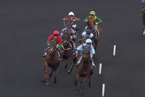 KAPITANO DE LOU (Brillantissime-Tania de Lou)...