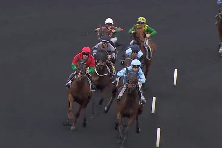 KAPITANO DE LOU (Brillantissime-Tania de Lou)...