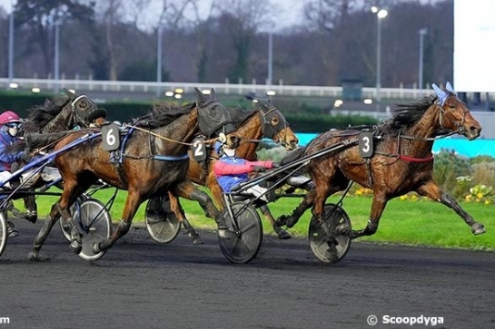 NORA D'ELCE (Real de Lou-Dorada de Lou par Sam Bourbon)...