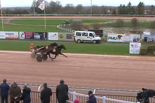 MUST DE LOU (Fabulous wood-Daida de vandel par Real de...