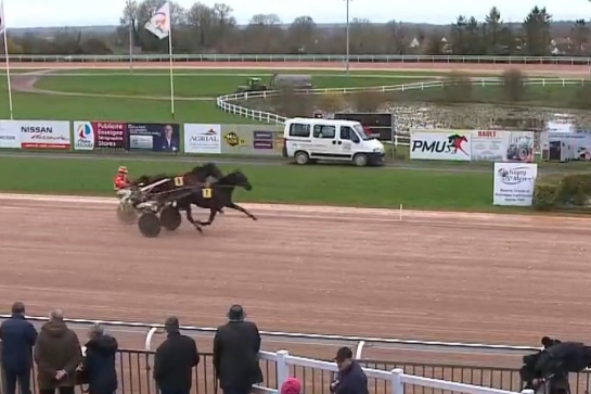 MUST DE LOU (Fabulous wood-Daida de vandel par Real de Lou)...