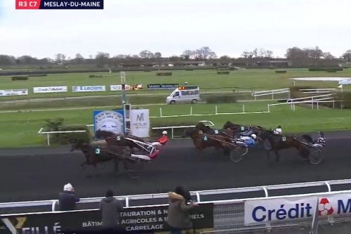 KERU DE LOU (Real de Lou-Bellissima de Lou par Saxo de...