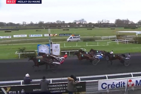 KERU DE LOU (Real de Lou-Bellissima de Lou par Saxo de vandel)...