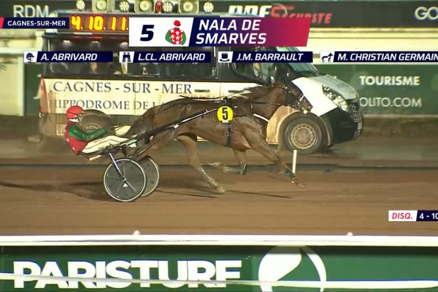 NALA DE SMARVES (Bilibili- Fiorentina de lou par Love you)...