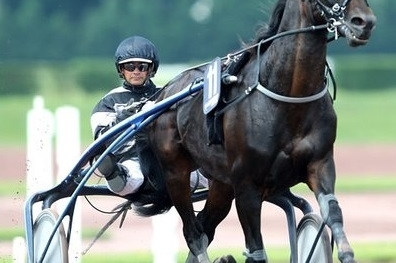 REAL DE LOU (Jag de bellouet-Kooka de lou par Coktail jet)...