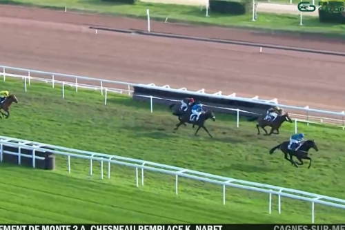 .LOU FAST (Rajsaman-Lou wonderful par Kapgarde)..