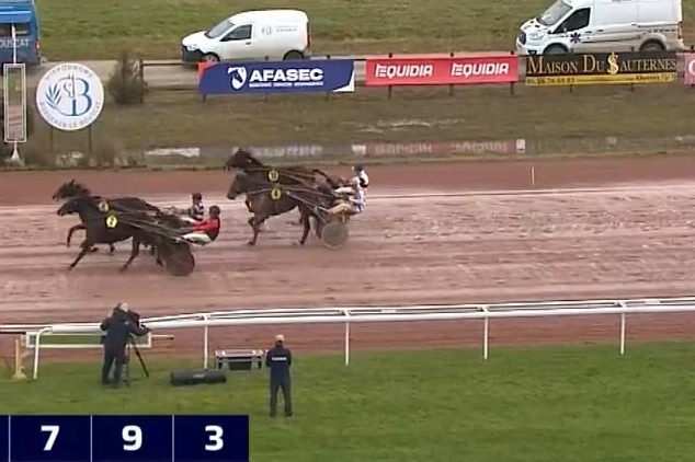 MIRELLA DE LOU (Eridan- Unora de Lou par Goetmals wood)...