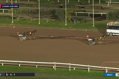 NALA DE SMARVES (Bilibili- Fiorentina de lou par Love...