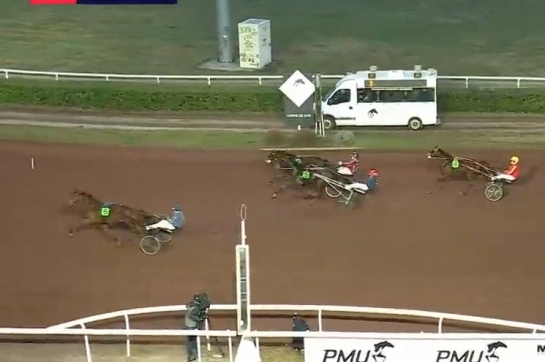 KALMIO DE LOU ( Expres jet-Dalmia de lou par Real de lou)...