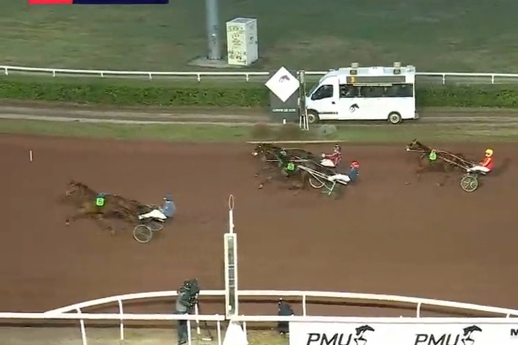 KALMIO DE LOU ( Expres jet-Dalmia de lou par Real de lou)...