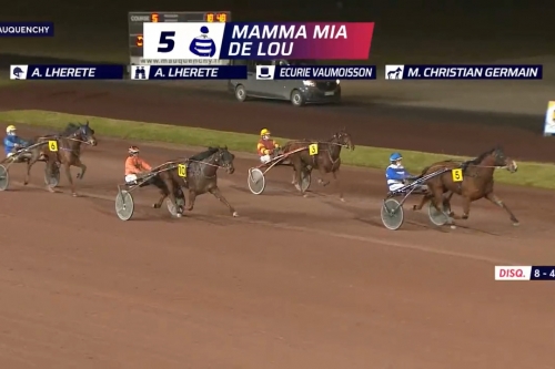 MAMAMIA DE LOU ( Express jet-Dalmia de Lou^par Real de...