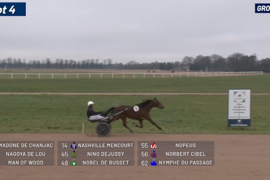 .NAGOYA DE LOU (Face time Bourbon - Diana du chatelet par Real de Lou).