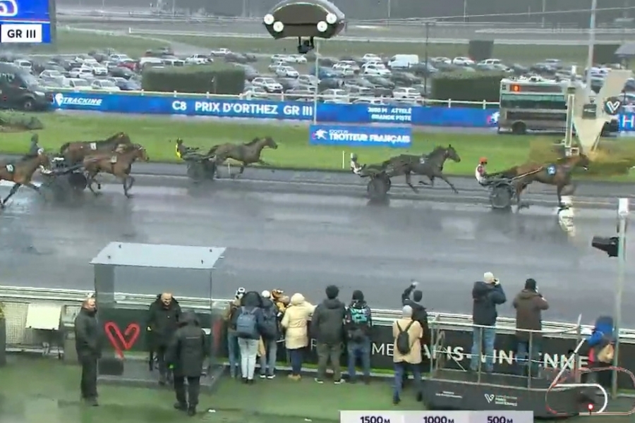 MAGICO DE LOU (Un mec d'heripre-Flora de Lou par Prodigious)...